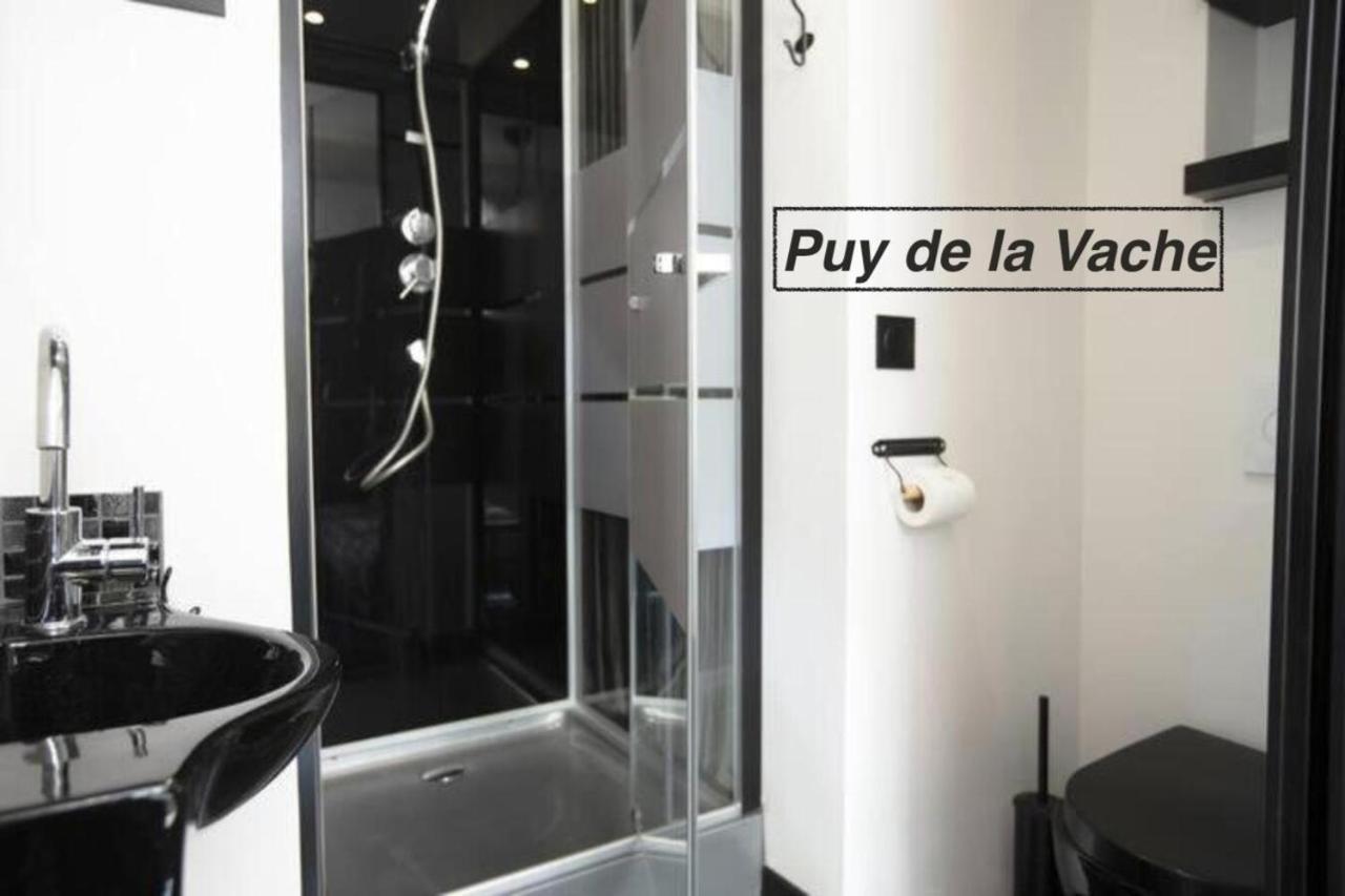 Logements Chaine Des Puys Avec Garages Attenants Clermont-Ferrand Ngoại thất bức ảnh